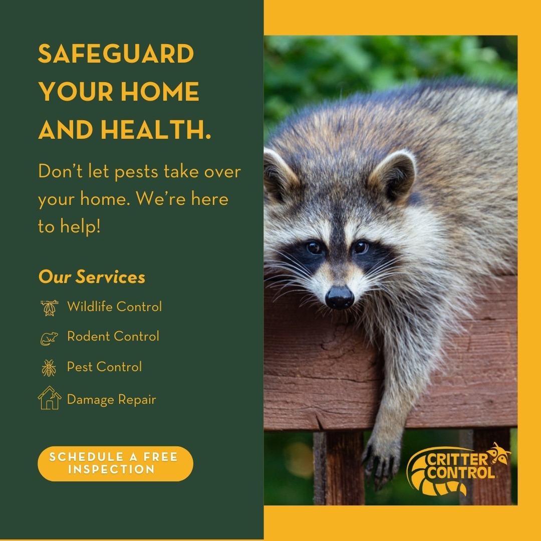 Critter Control Pest Control ad creative
