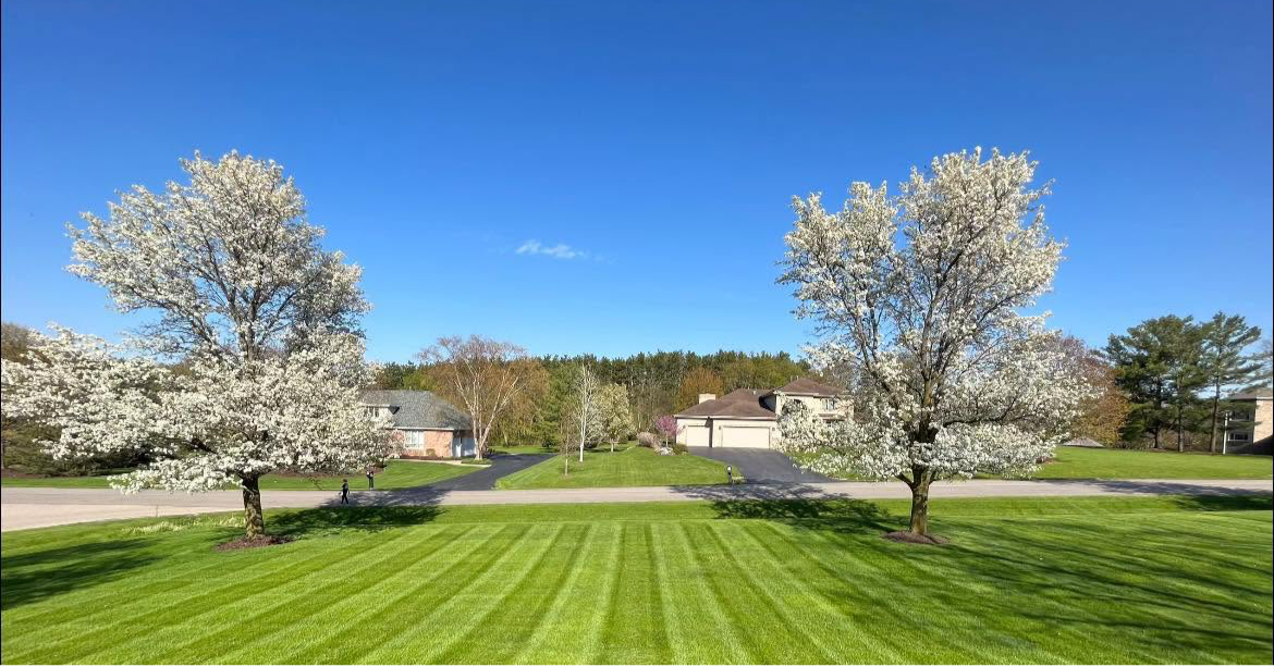 LAWN MOWING/CORE AERATION