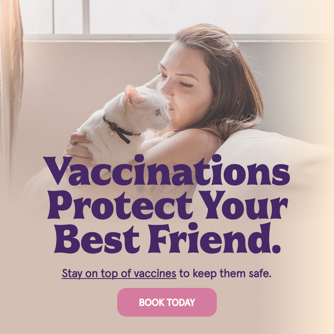 Is Your Pet Protected?