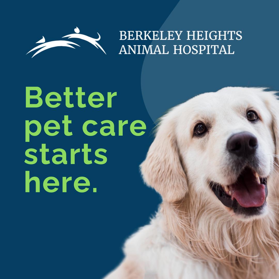 Berkeley Heights Animal Hospital