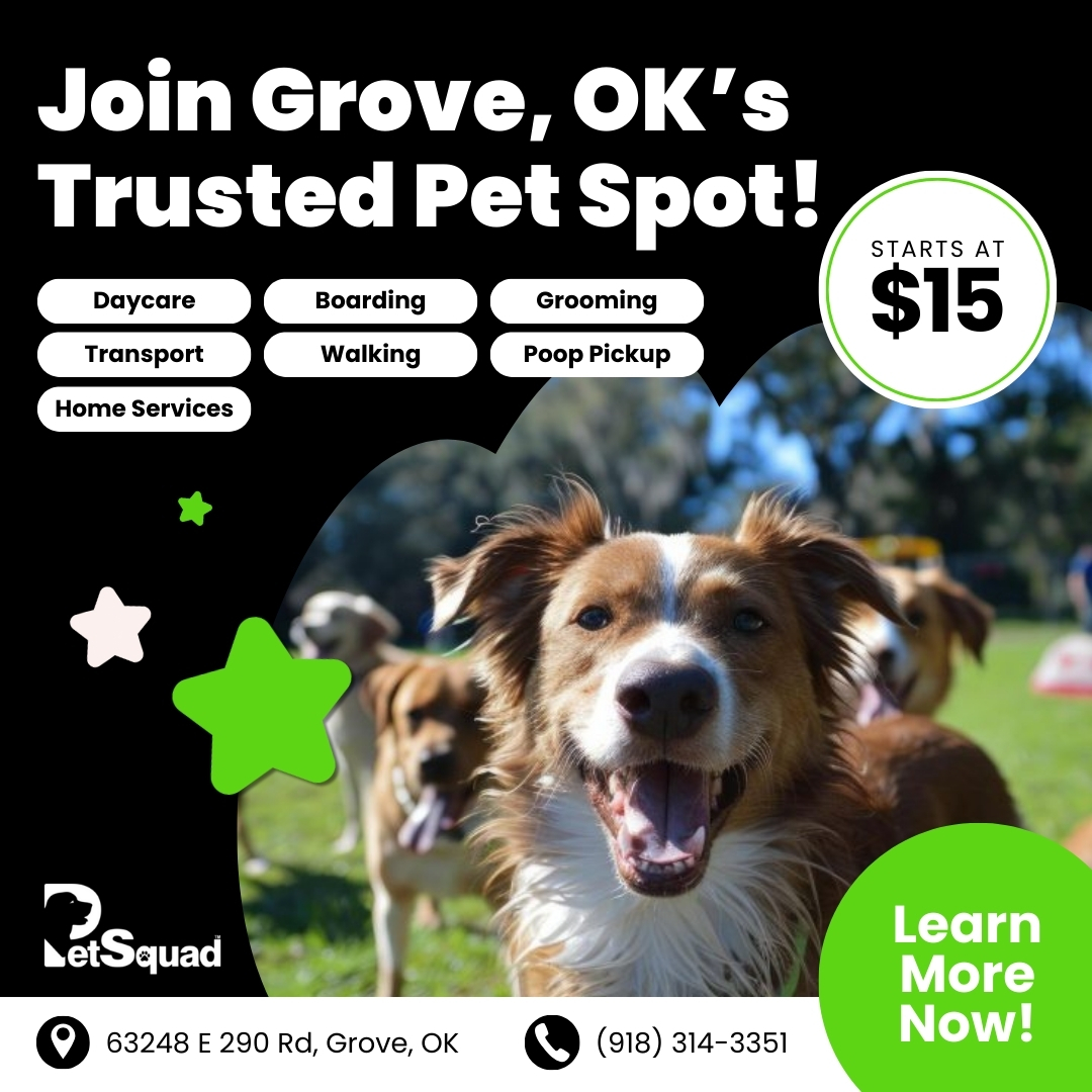 Today’s Pet Care Pick: PetSquad Grove