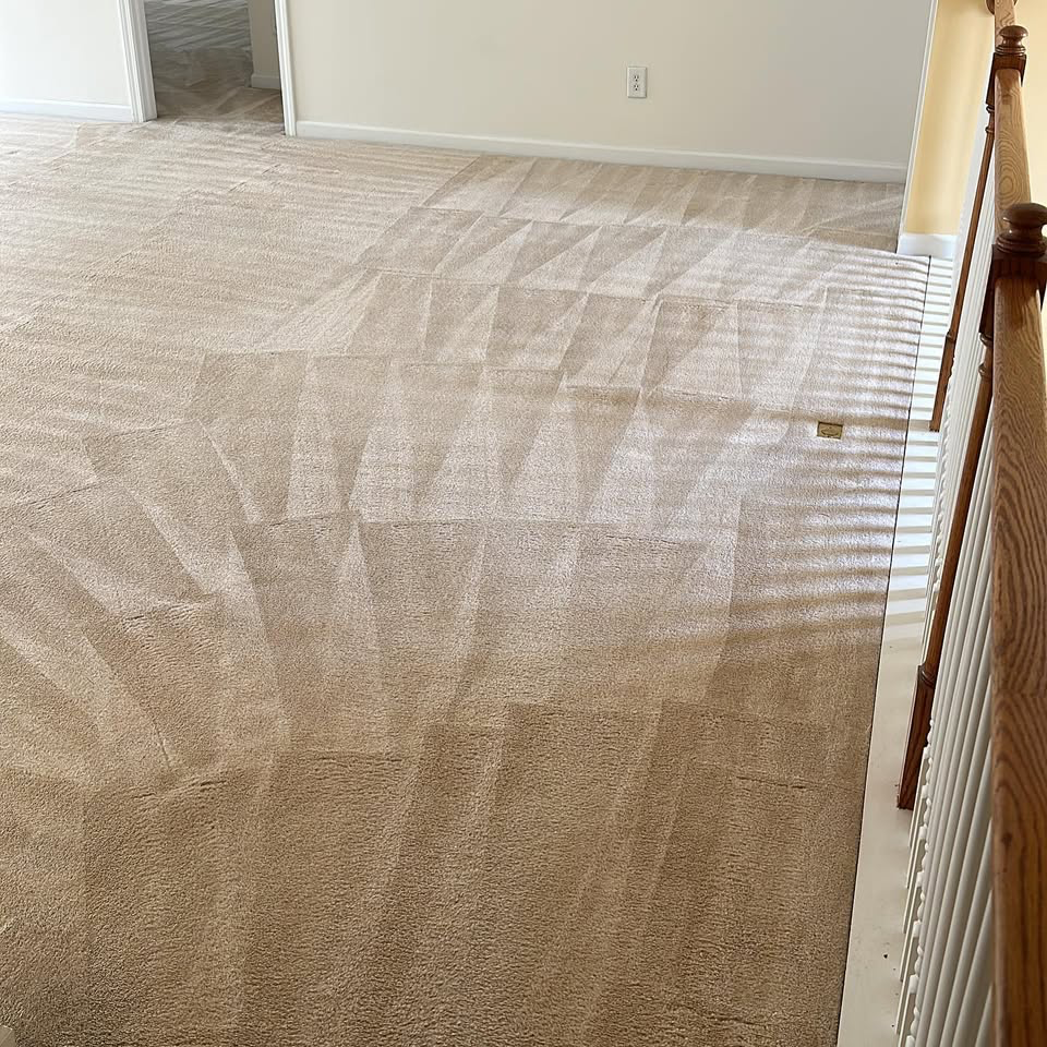 Citi Carpet Cleaning