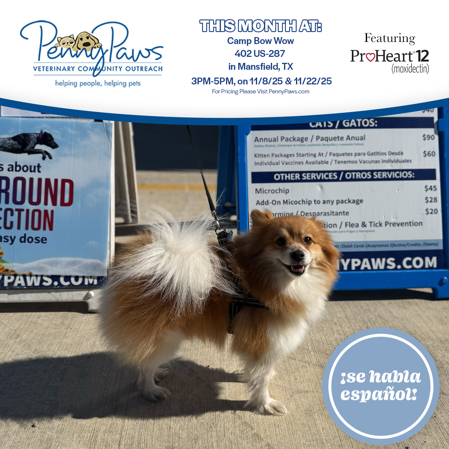 Fast & Affordable Pet Vaccinations Near You