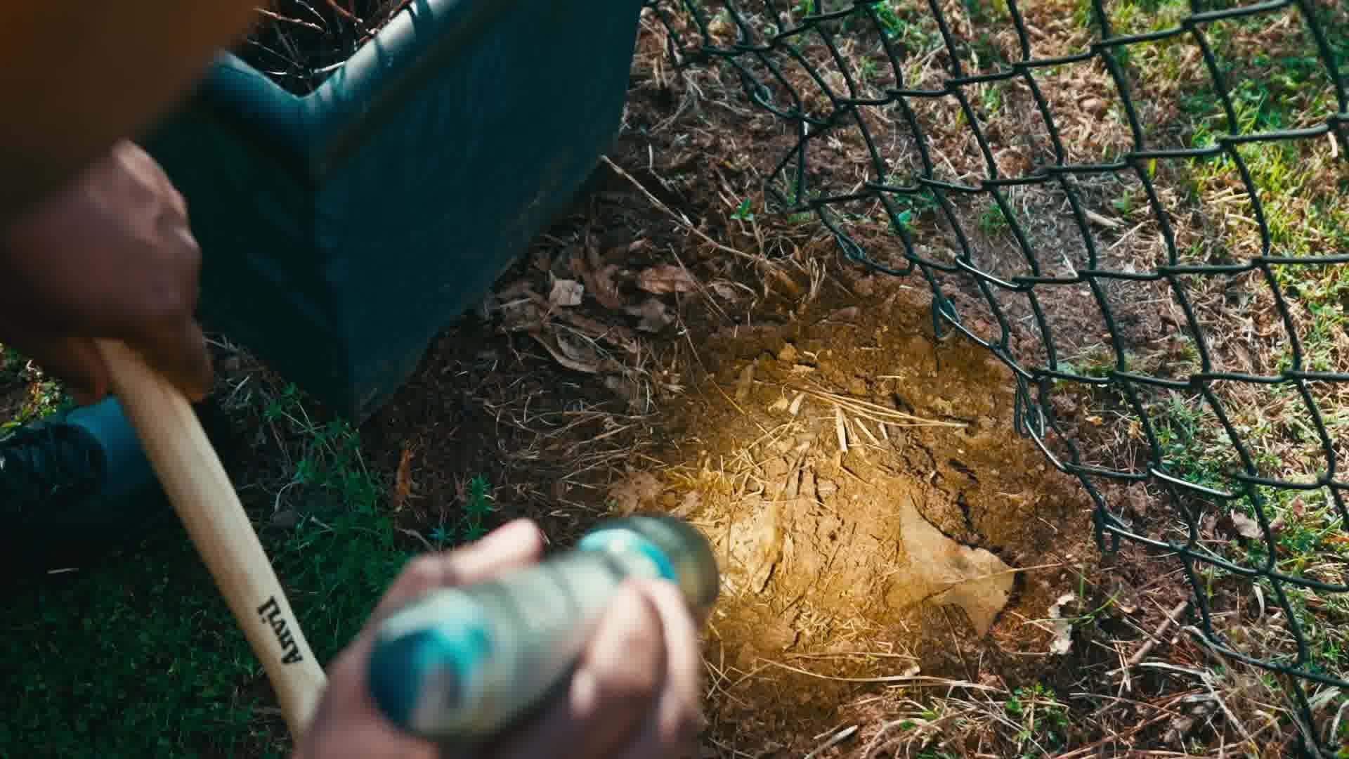 Is Your Home Prepared for Termites? 🛡️🏡