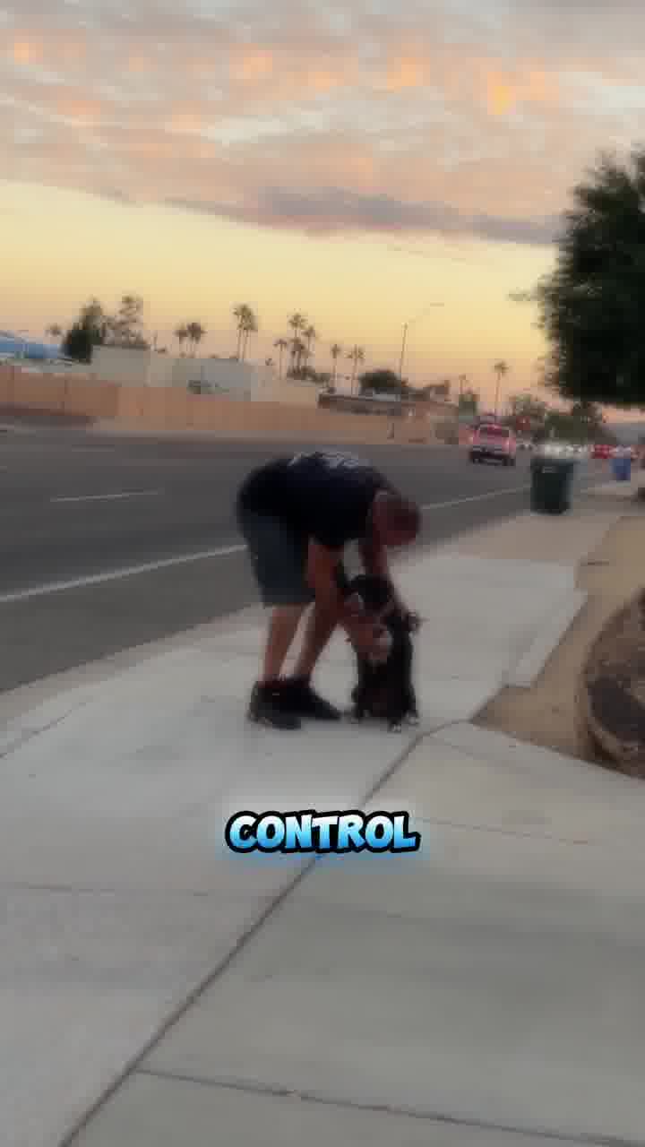 Free Dog Training Consult✅