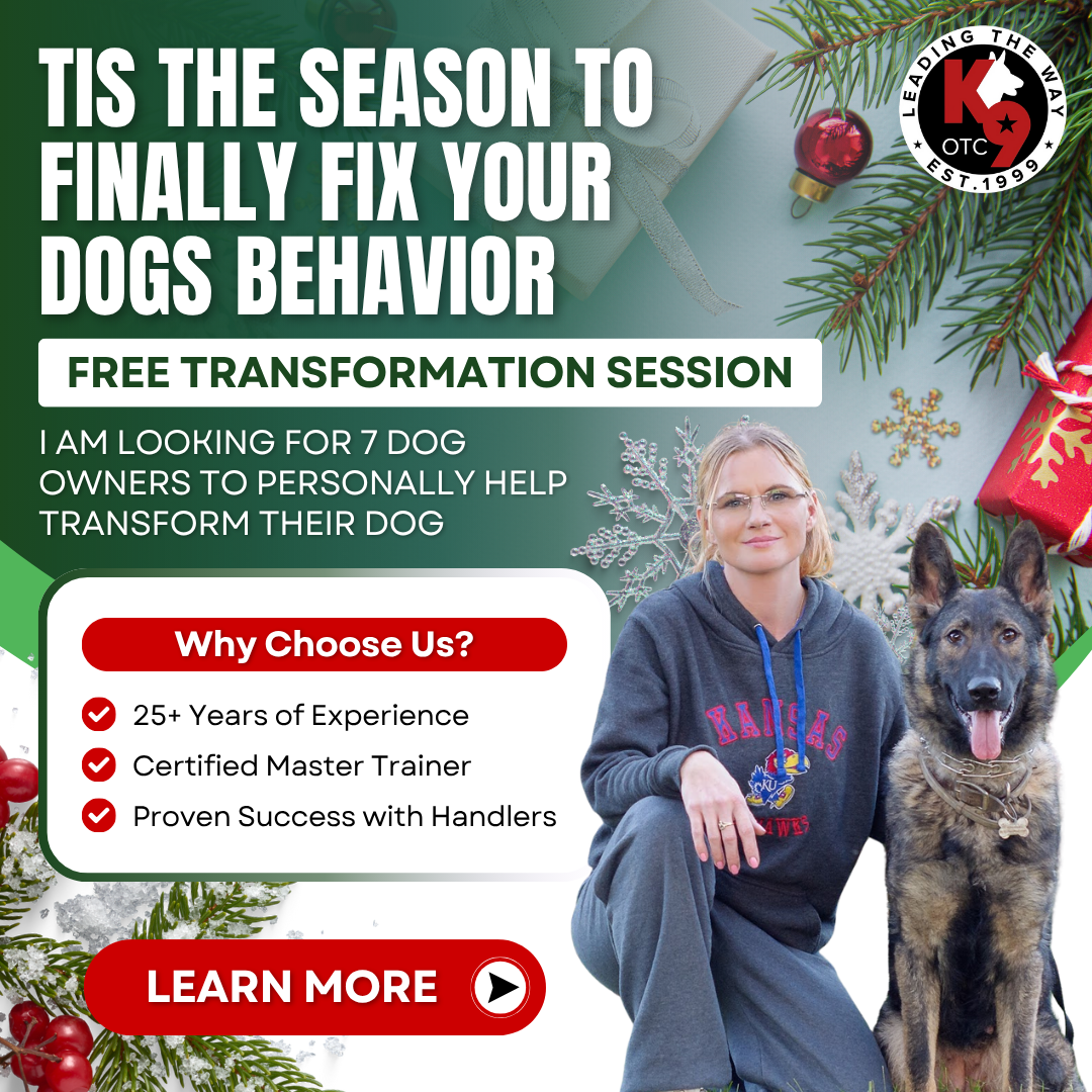 🗣️ Greater Atlanta Dog Owners! Give the Gift of a Well-Behaved Dog This Season!