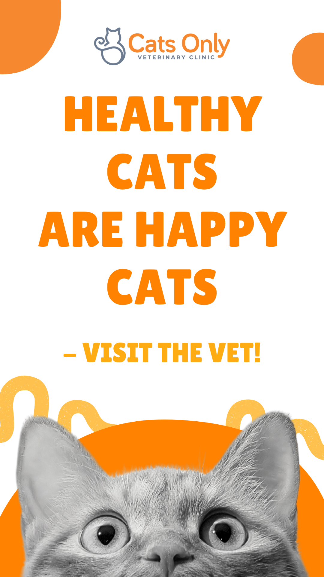 Serving Columbus Cat Lovers for Over 35 Years