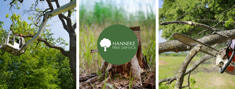 Hanneke Tree Service and Landscaping
