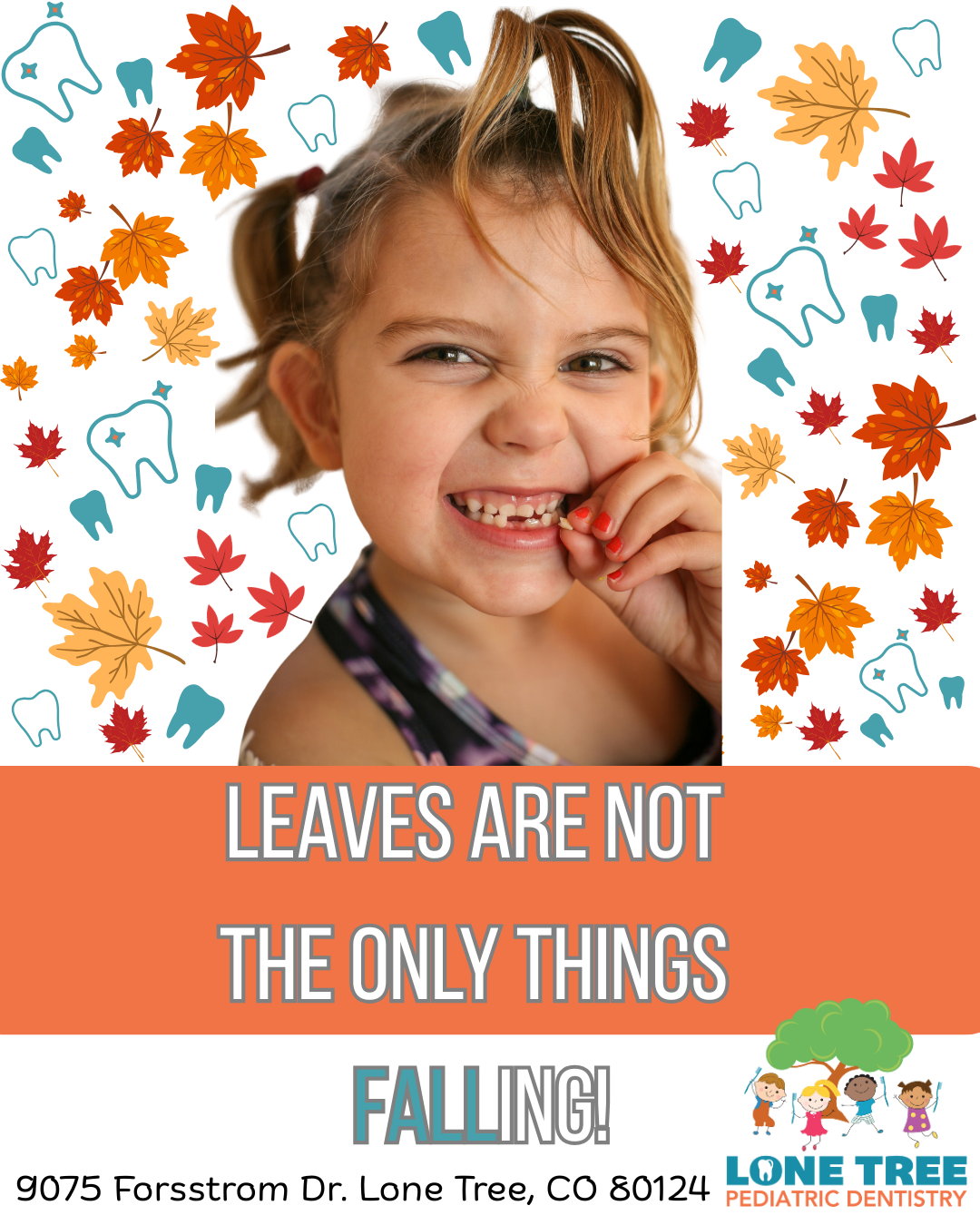 Call or Request Appointment Online