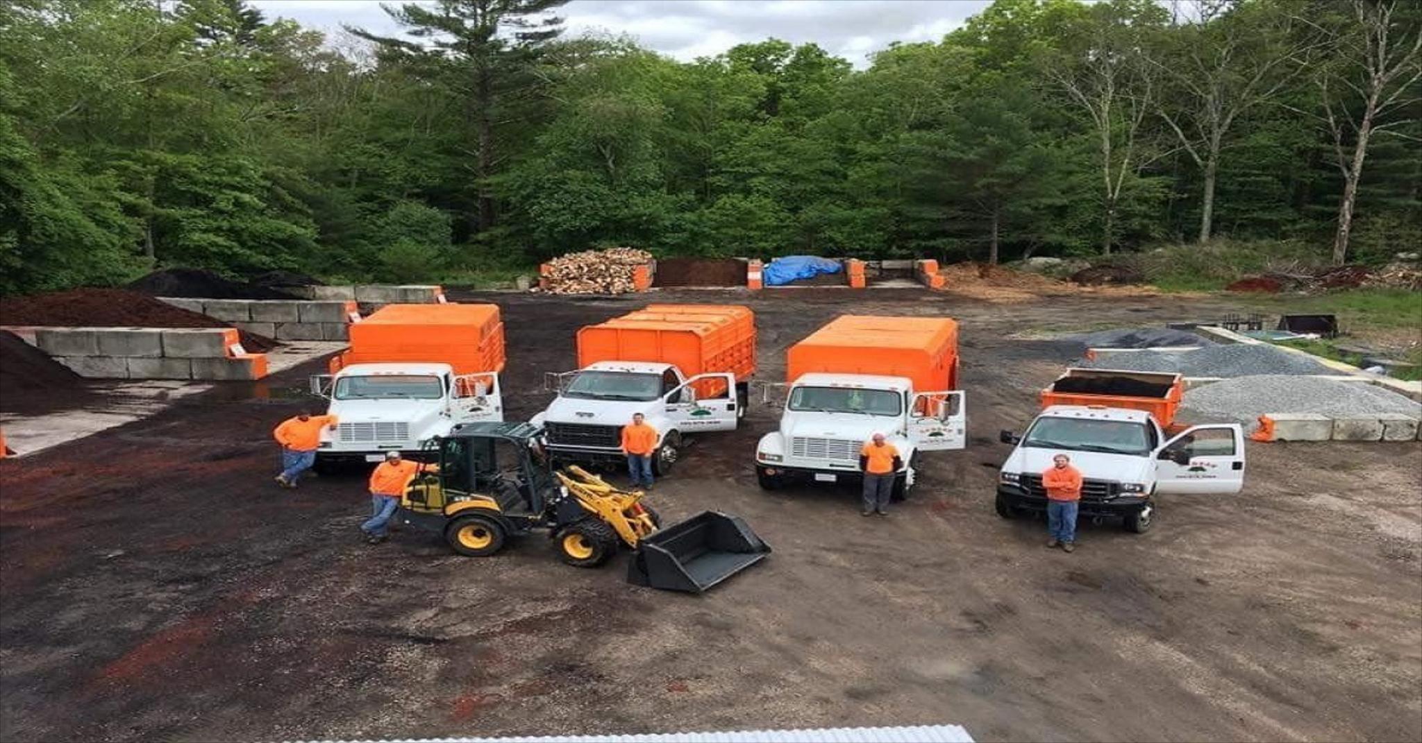 Fully Insured Tree Removal Company