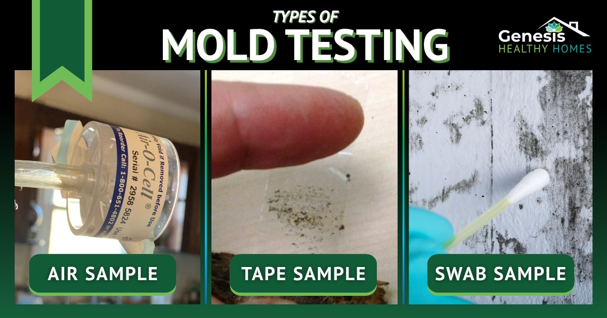 Genesis Healthy Homes Water Damage Restoration ad creative