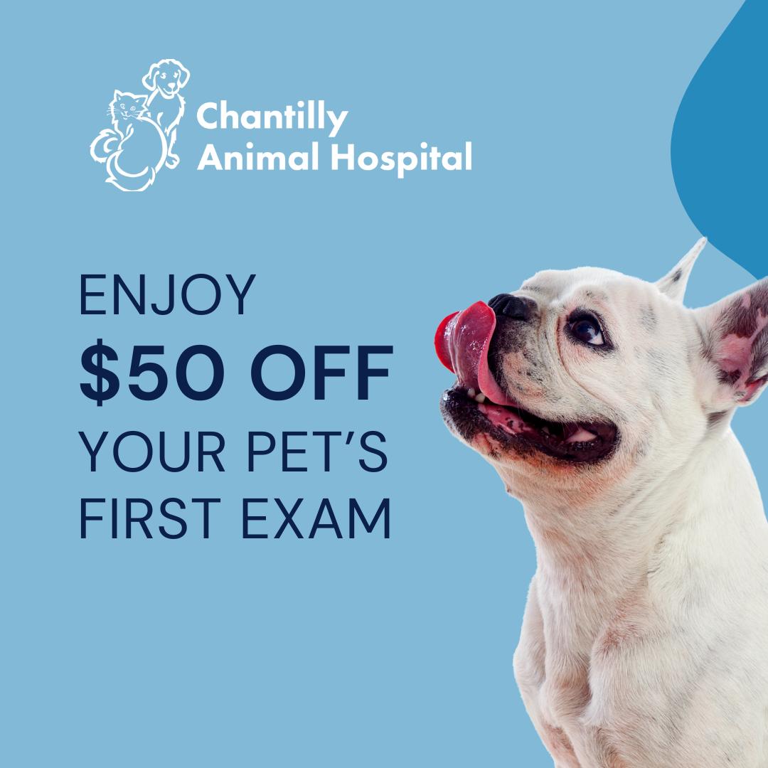 Chantilly Animal Hospital