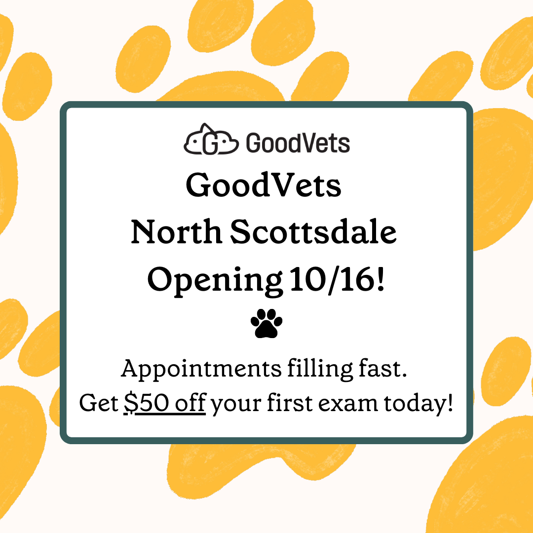 GoodVets