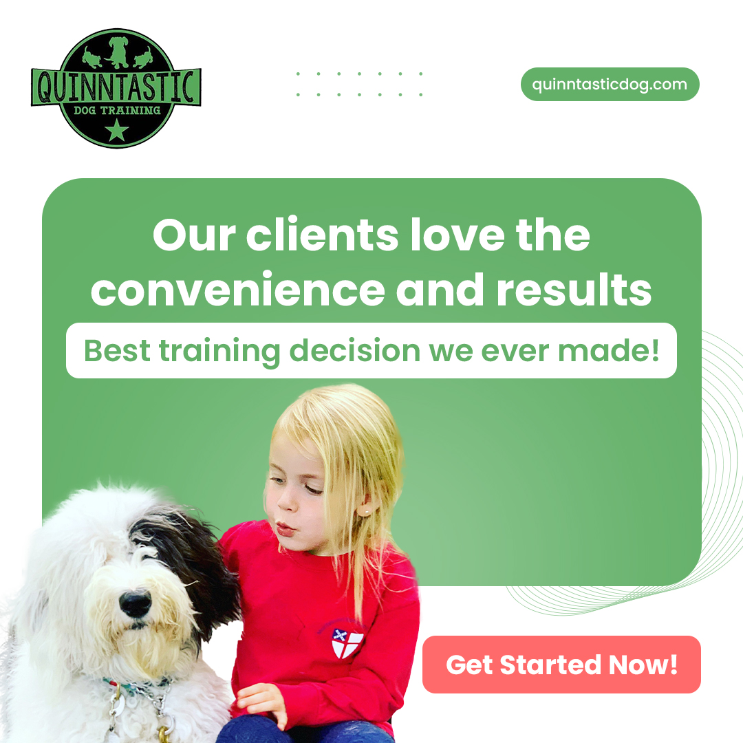 Quinntastic Dog Training