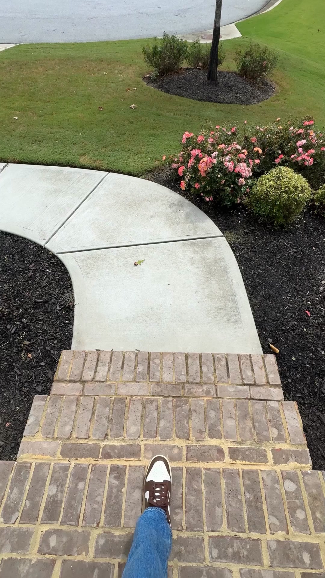 Tidal Wave Auto Spa Car Wash ad creative