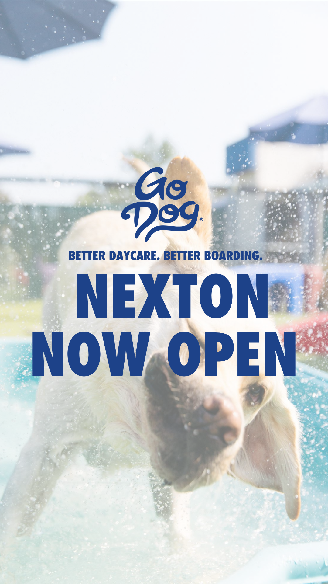 GoDog Pet Boarding ad creative