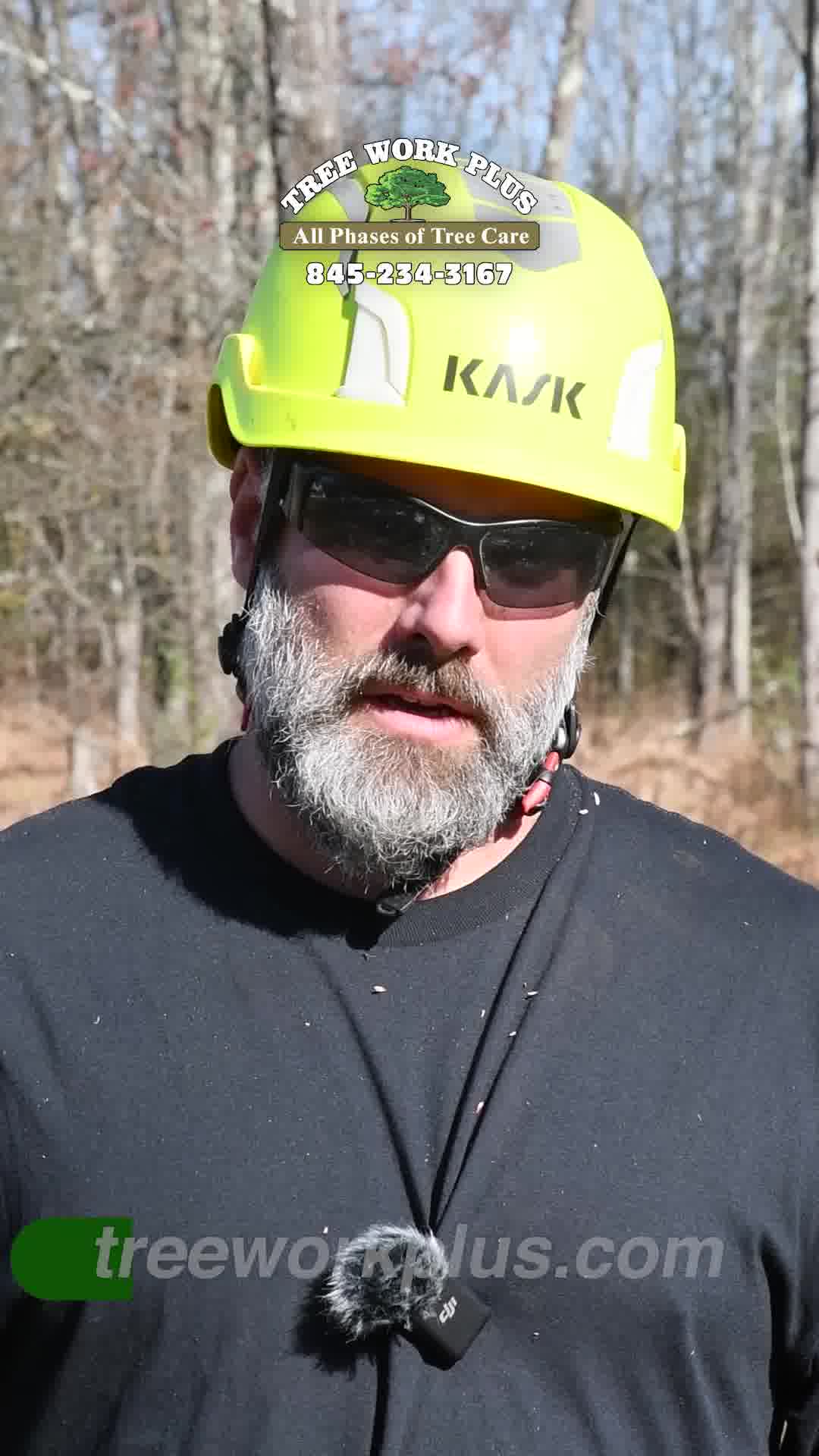 Tree Care Experts You Can Trust!