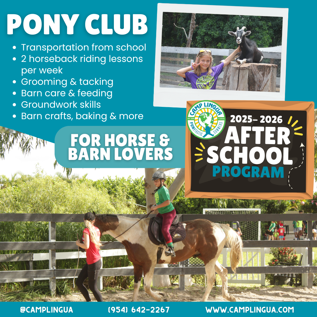 Camp Lingua Preschool ad creative