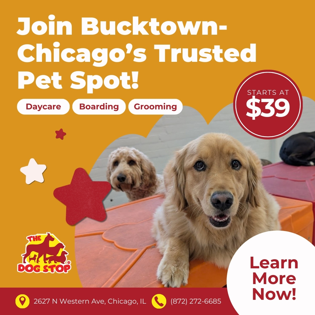 Today’s Pet Care Pick: The Dog Stop Bucktown