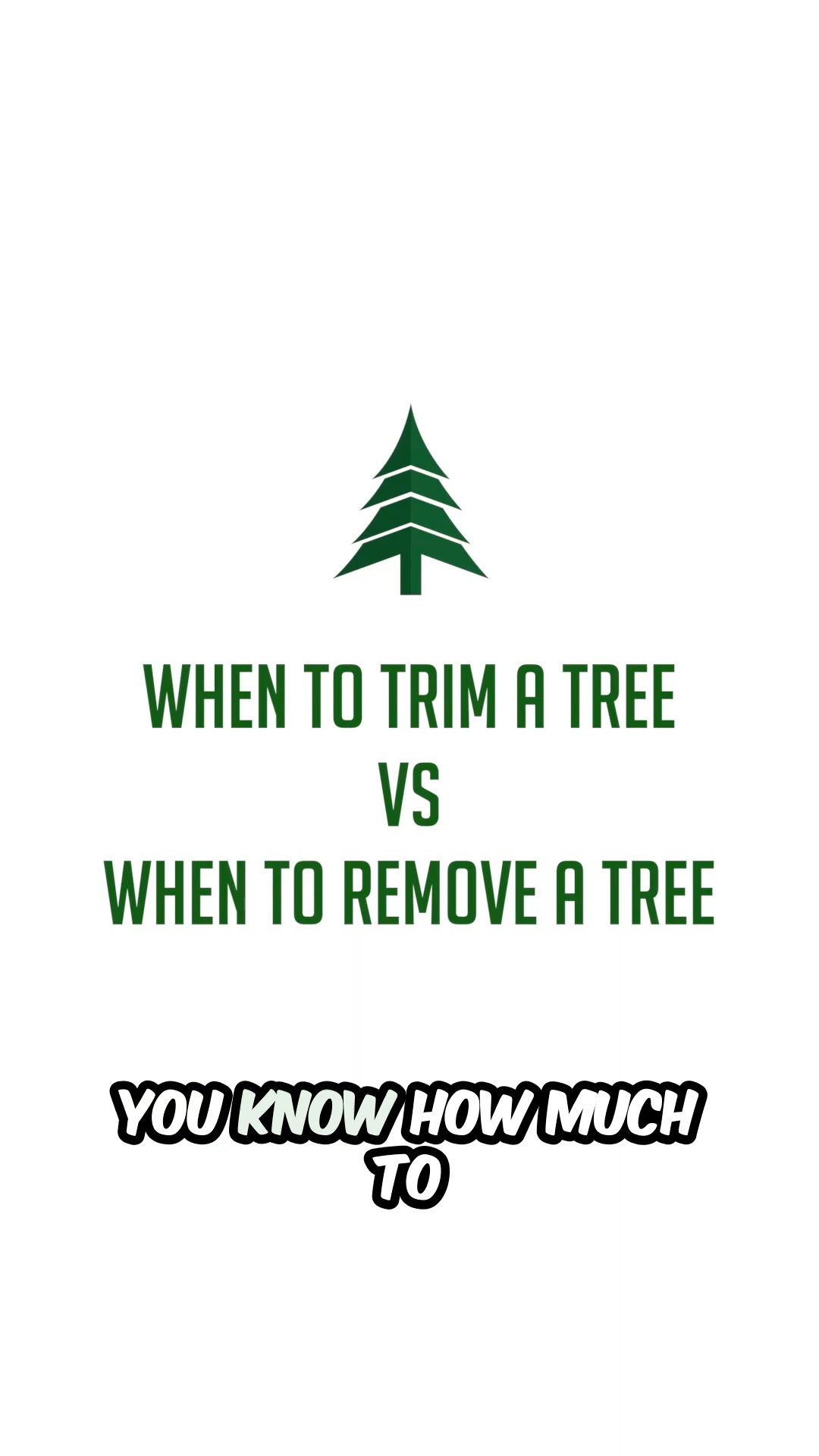 Williamsport Tree Removal