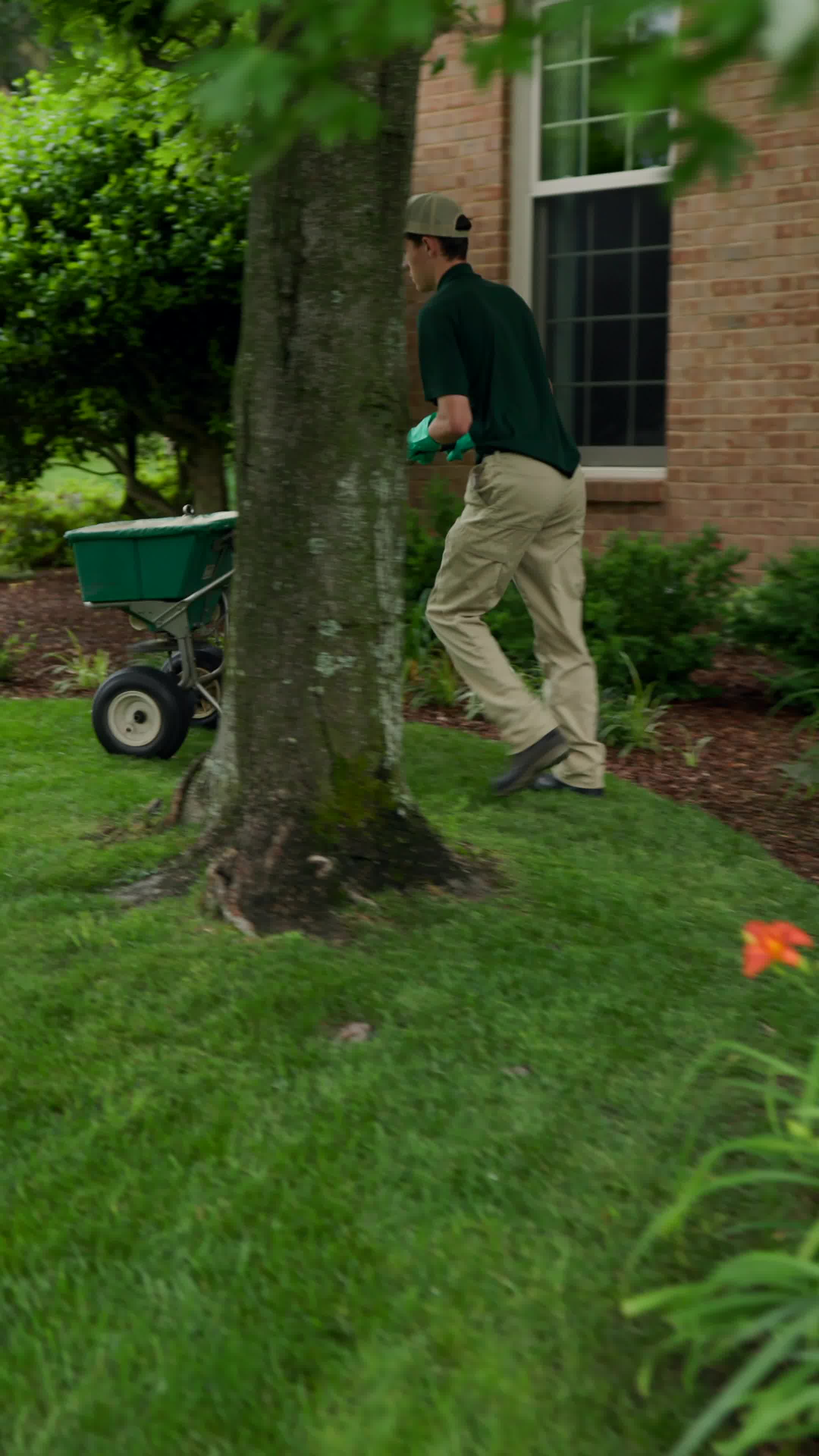 Weed-Free Lawn? Start Here