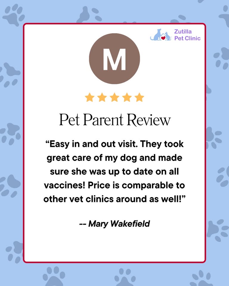 Zutilla Pet Clinic