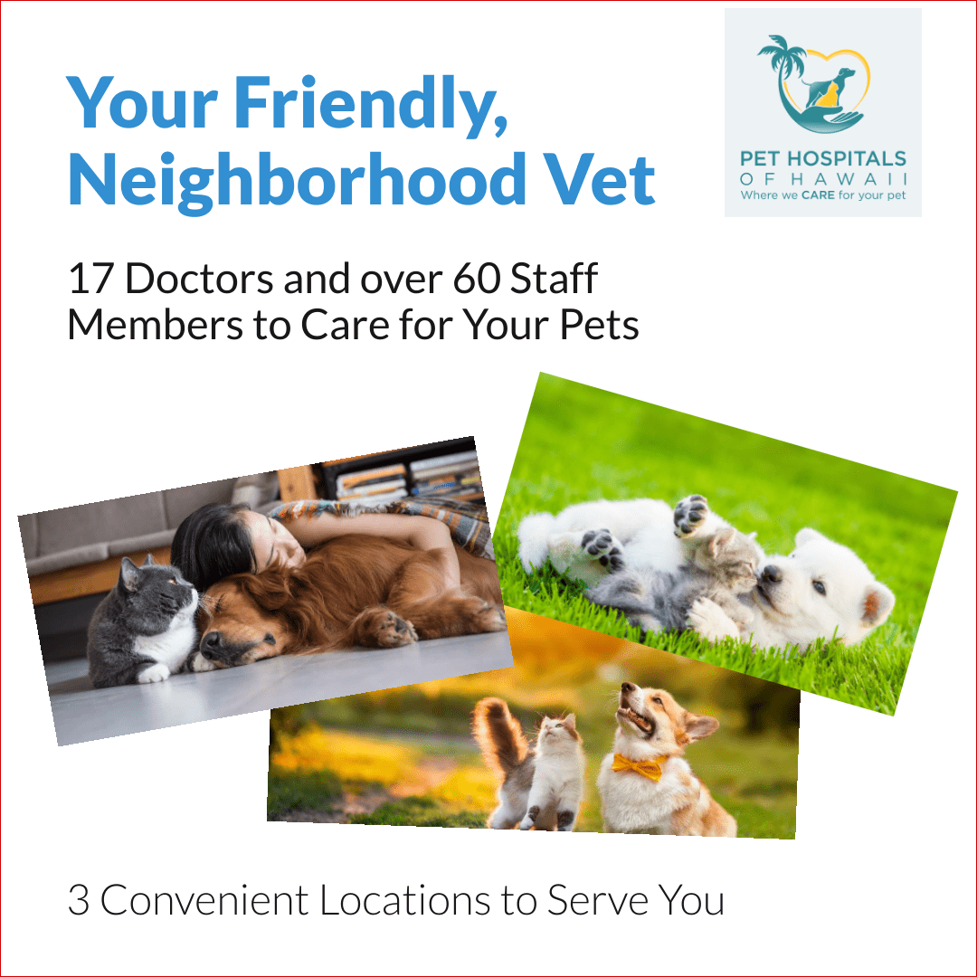 Pet Hospitals Of Hawaii