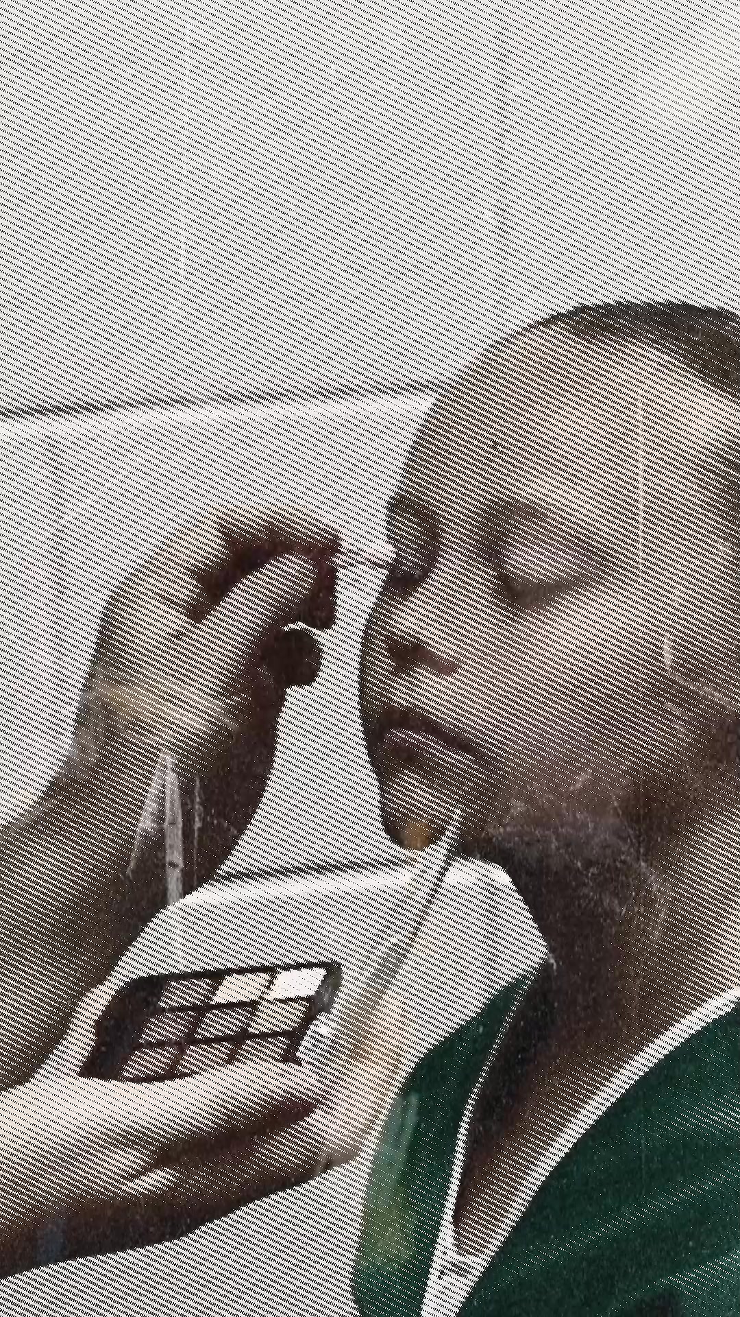 Major Productions Studio Of Dance Dance Studio ad creative