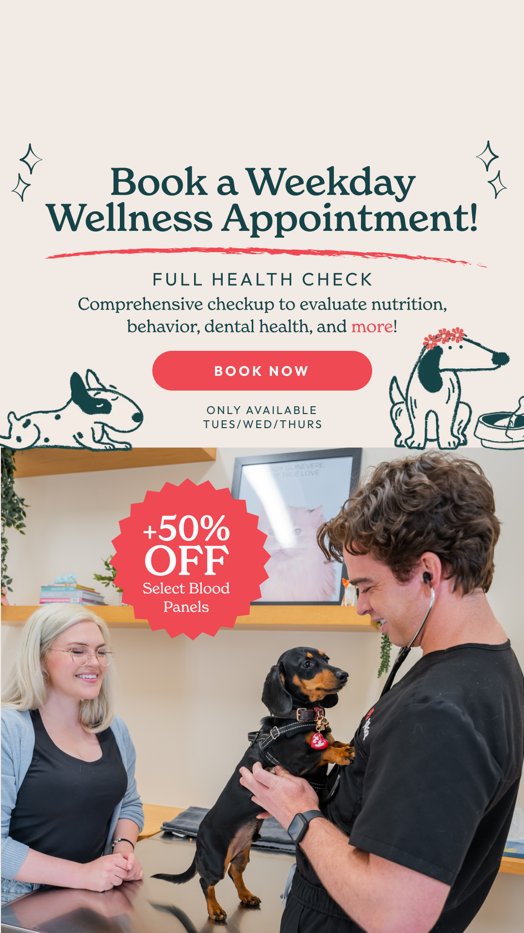 Delighted to Treat You 💕