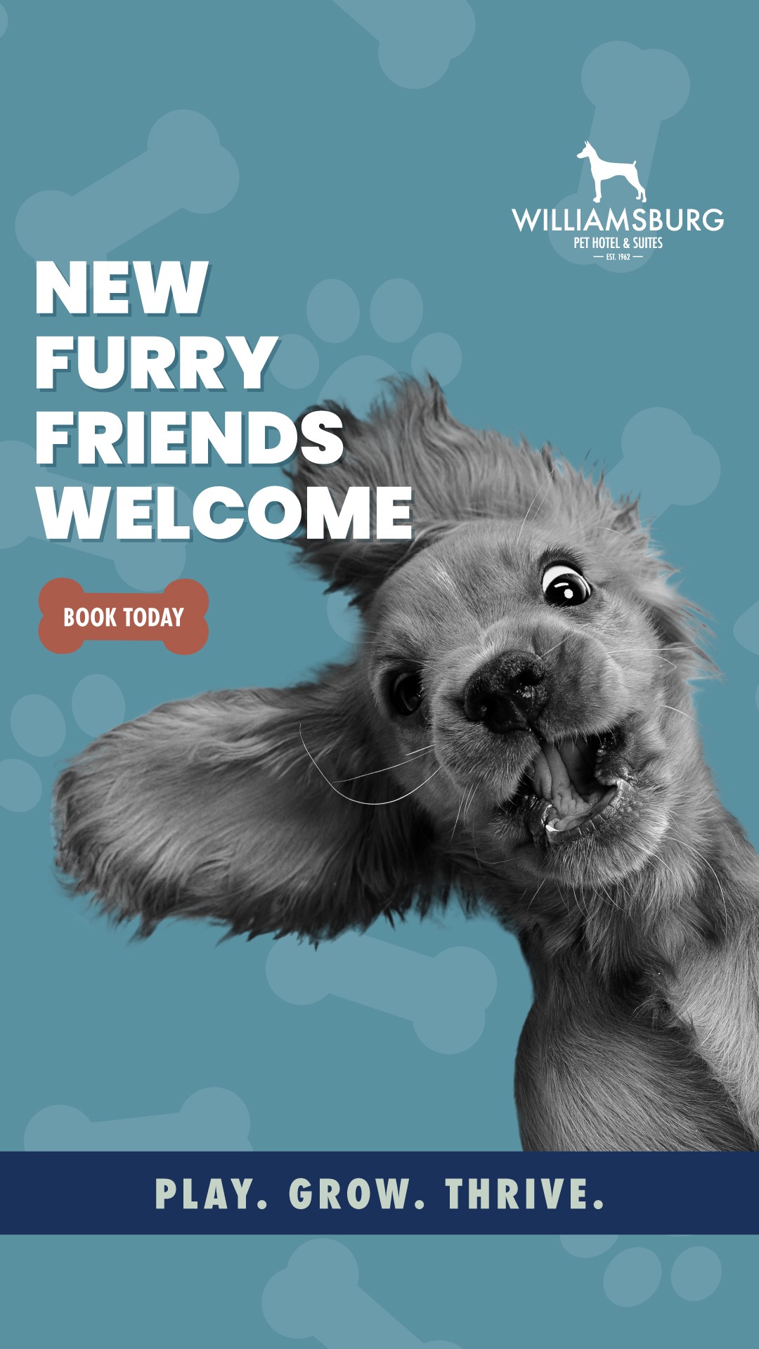 Your Pet's Best Adventures Starts Here