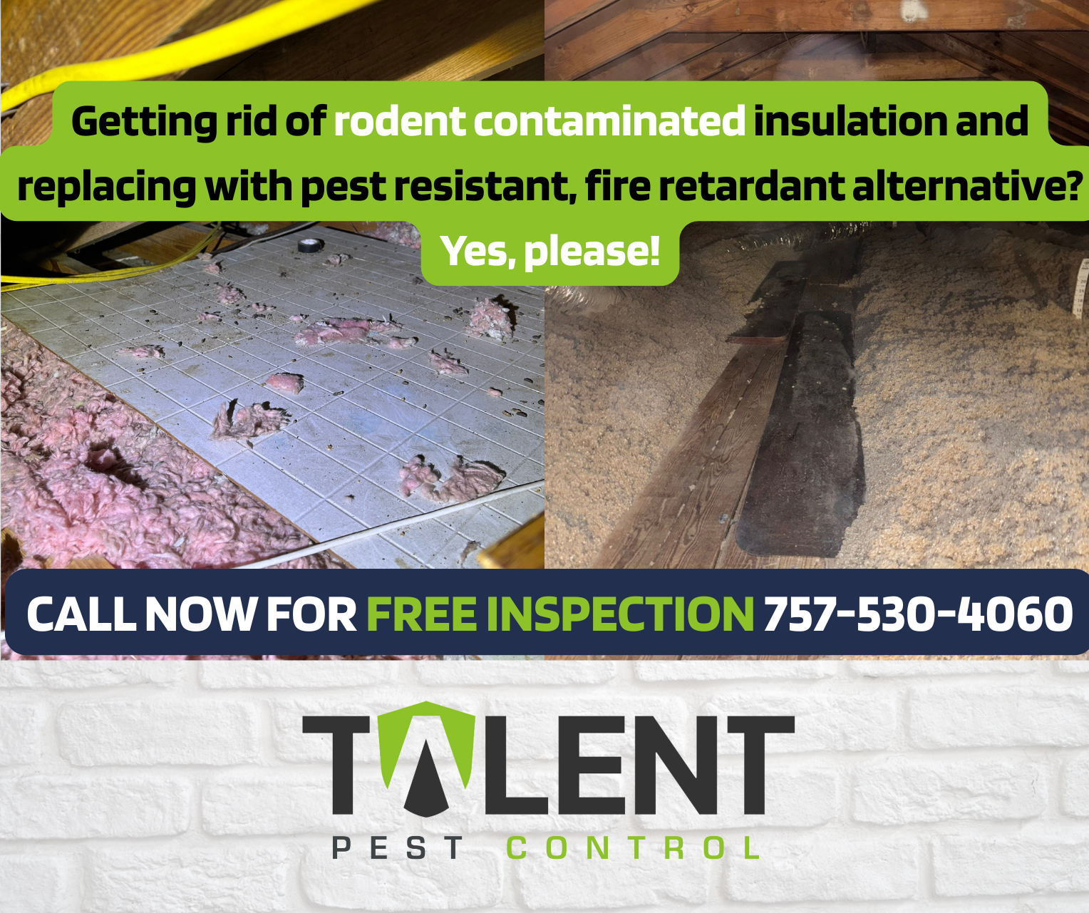 Talent Termite Pest Control ad creative