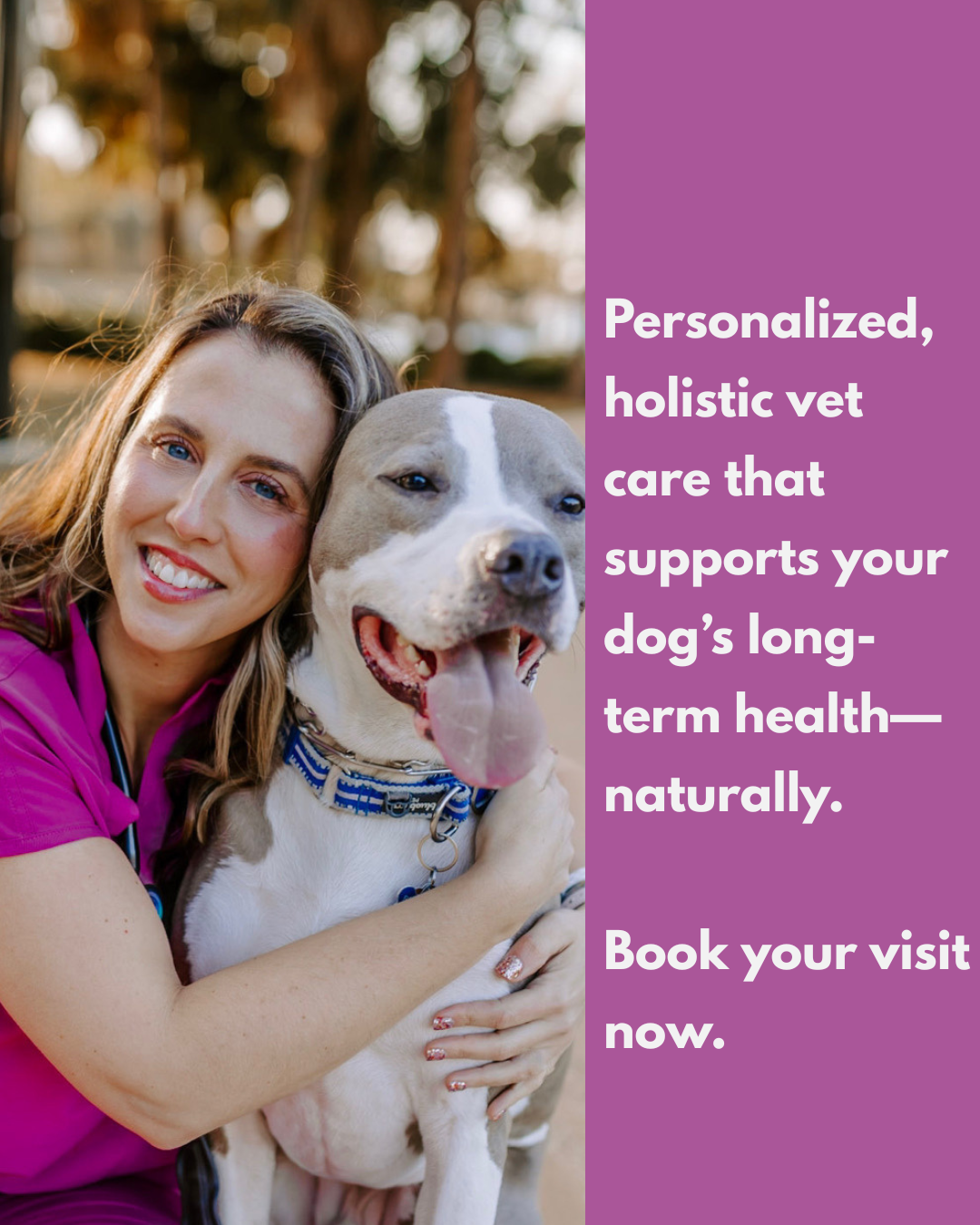 In-Home Holistic Vet Care for Dogs & Cats