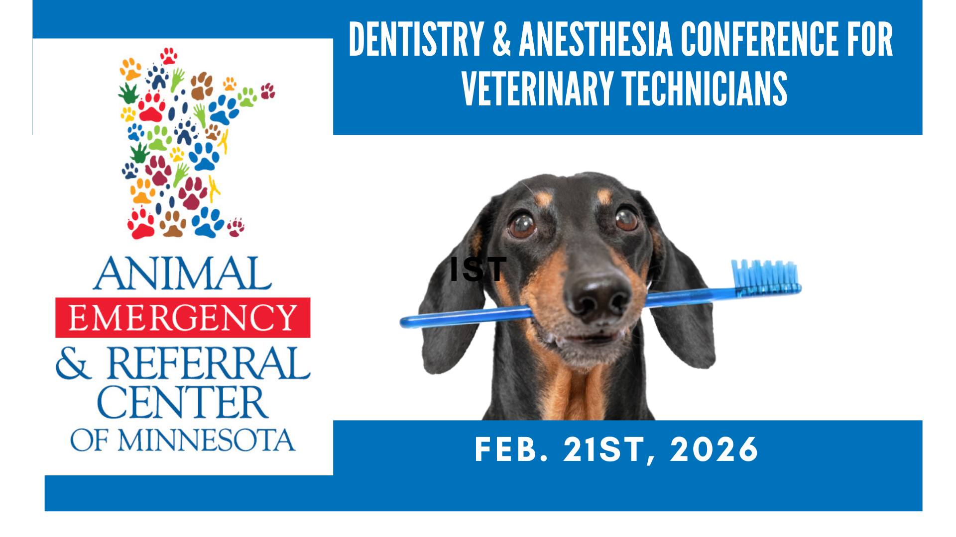 Dentistry & Anesthesia Conference for Veterinary Technicians