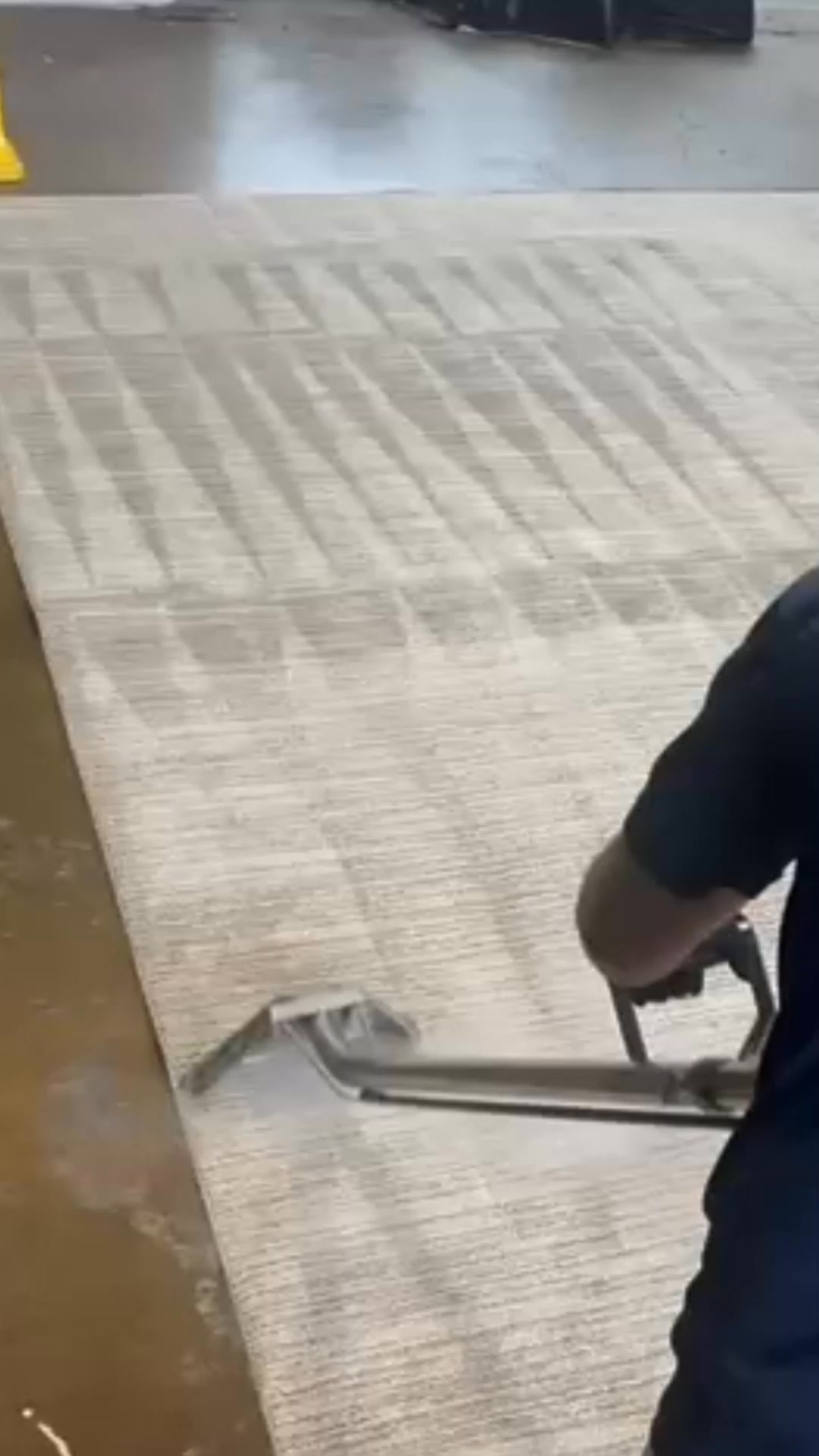 Discover the power of expert carpet cleaning!