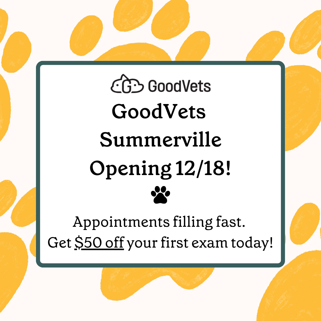 GoodVets