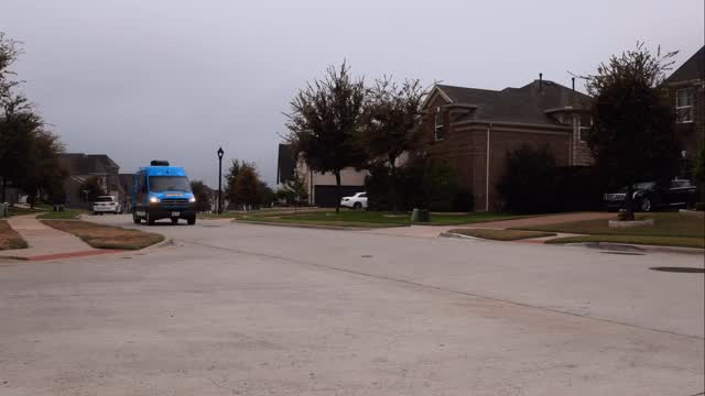 Your Dog’s Spa Day — Delivered to Your Home