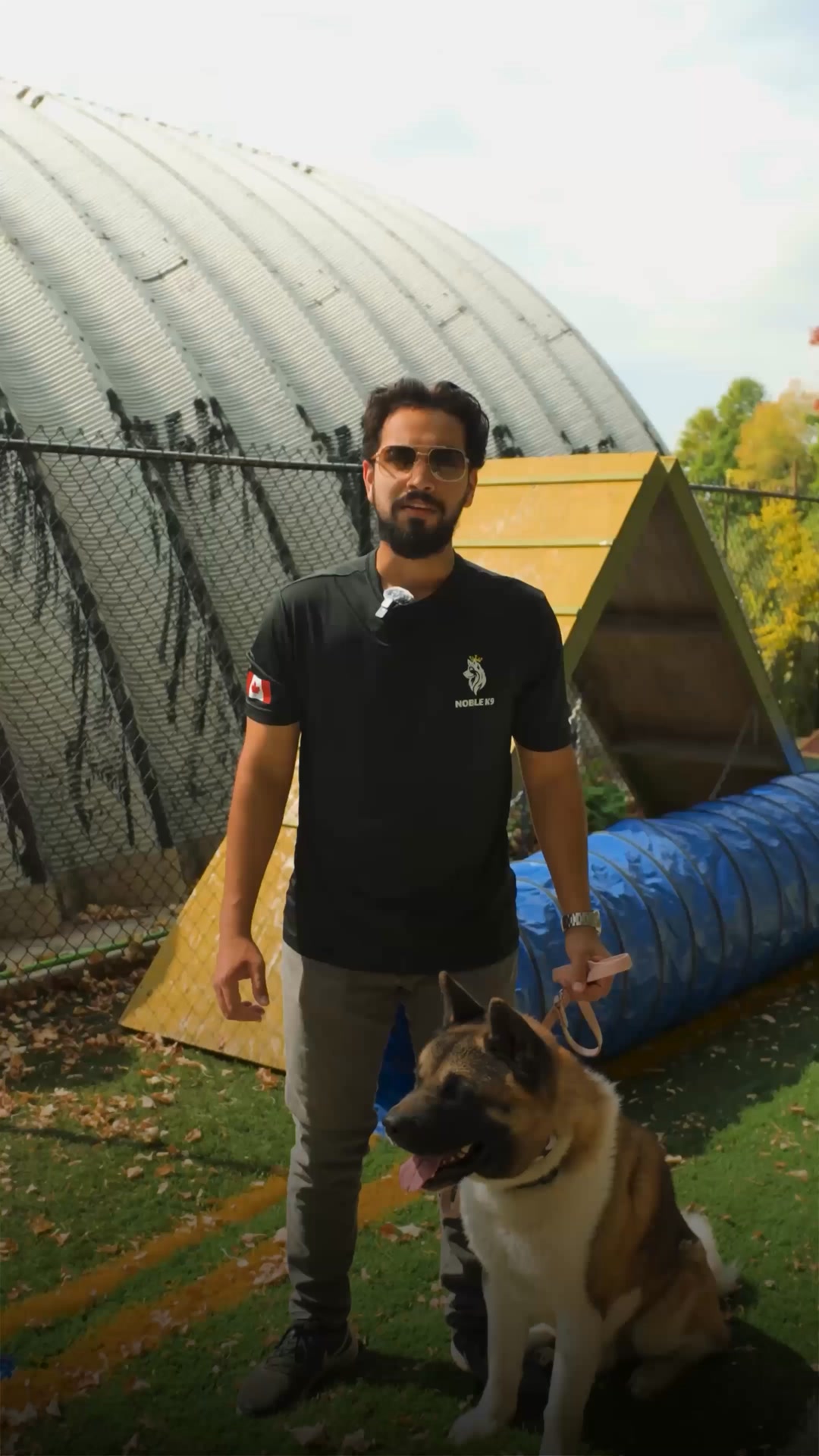 Transform Your Dog Fast