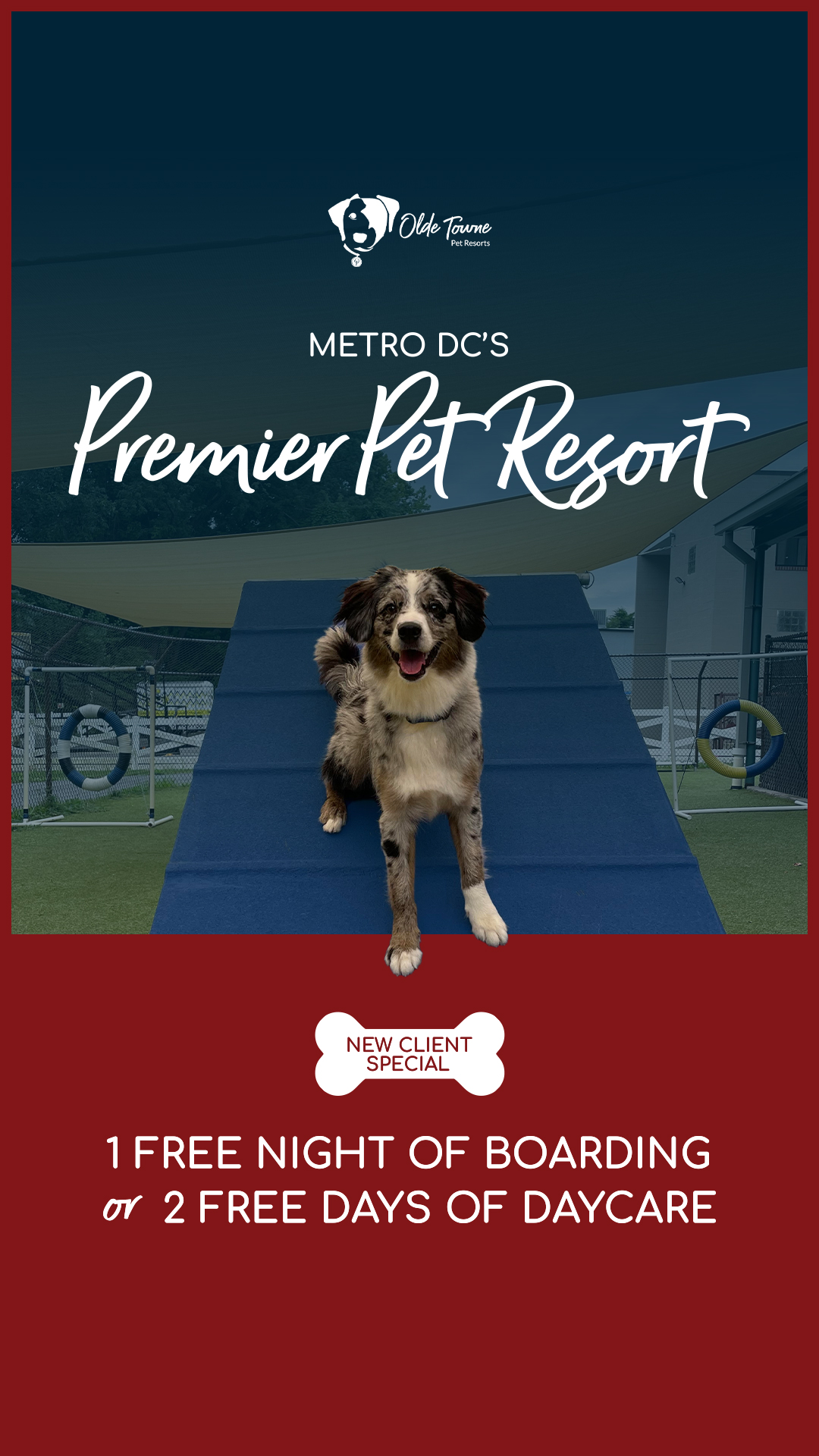 Trusted by DC Pet Parents for Decades