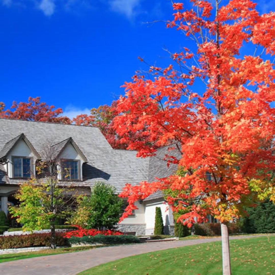 The Grounds Guys of Nassau County