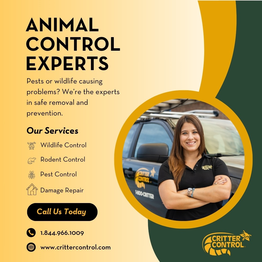Trusted Wildlife Removal