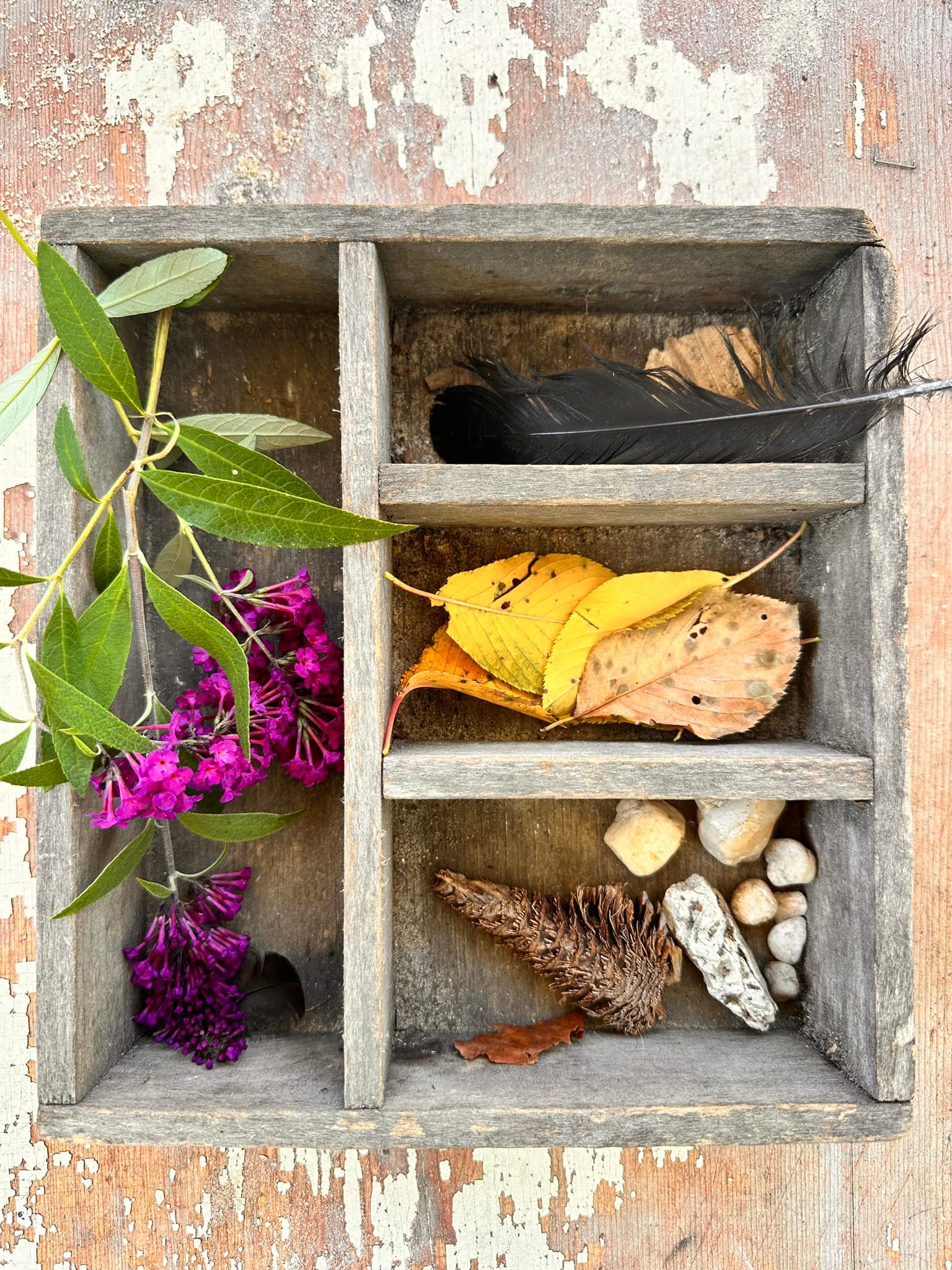 Luv-A-Kid Montessori Learning Center Preschool ad creative