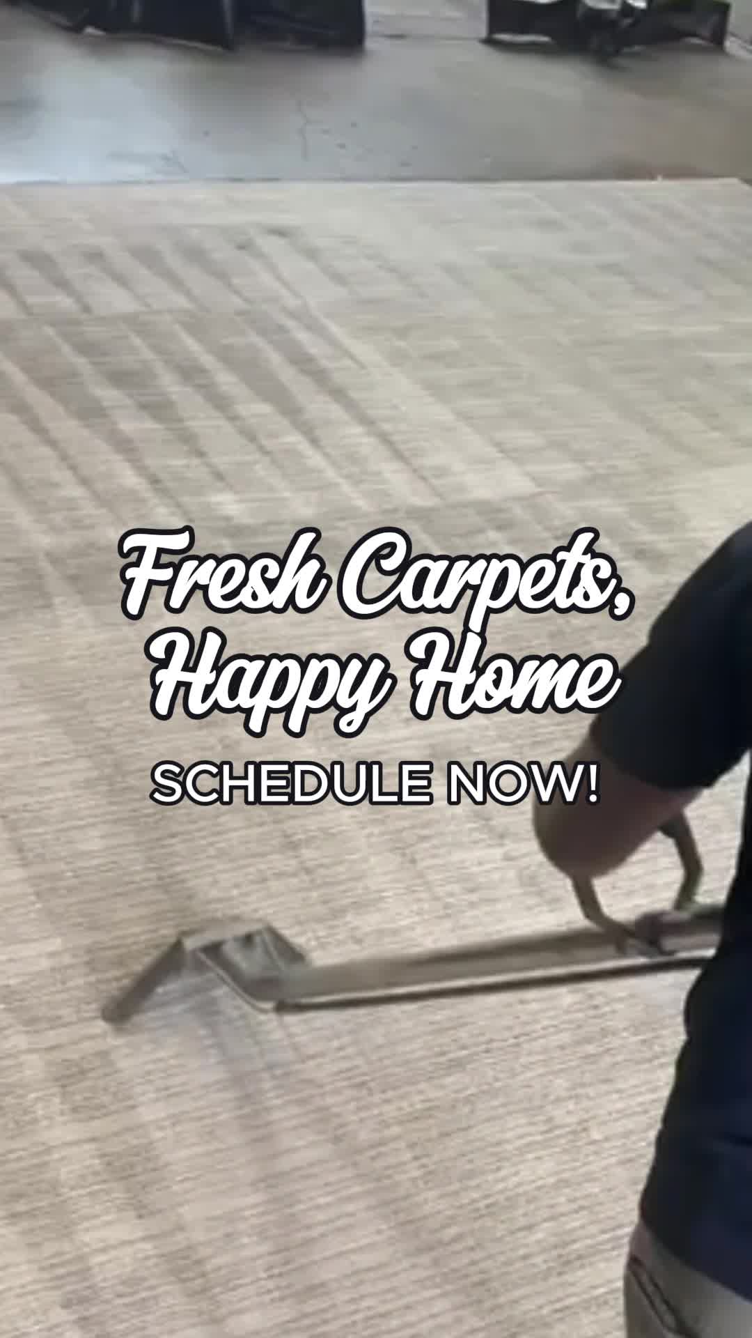 Discover the power of expert carpet cleaning!