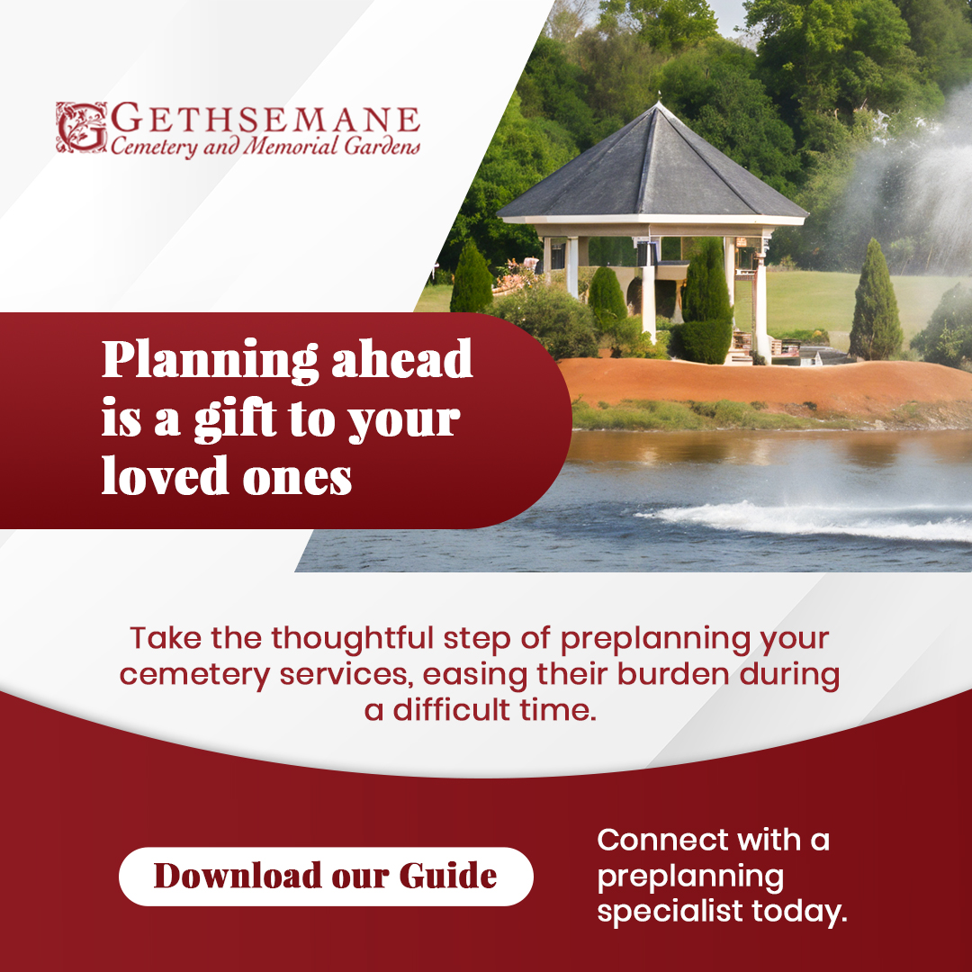 Free Guide: Planning Options