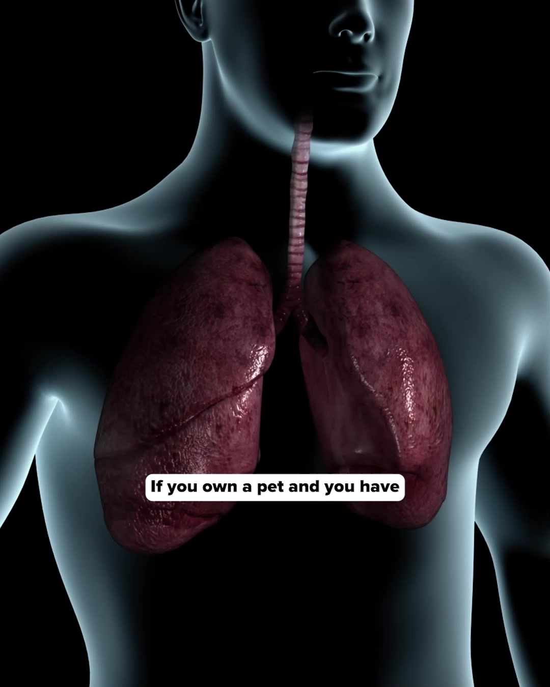 What’s Under Your Carpet?