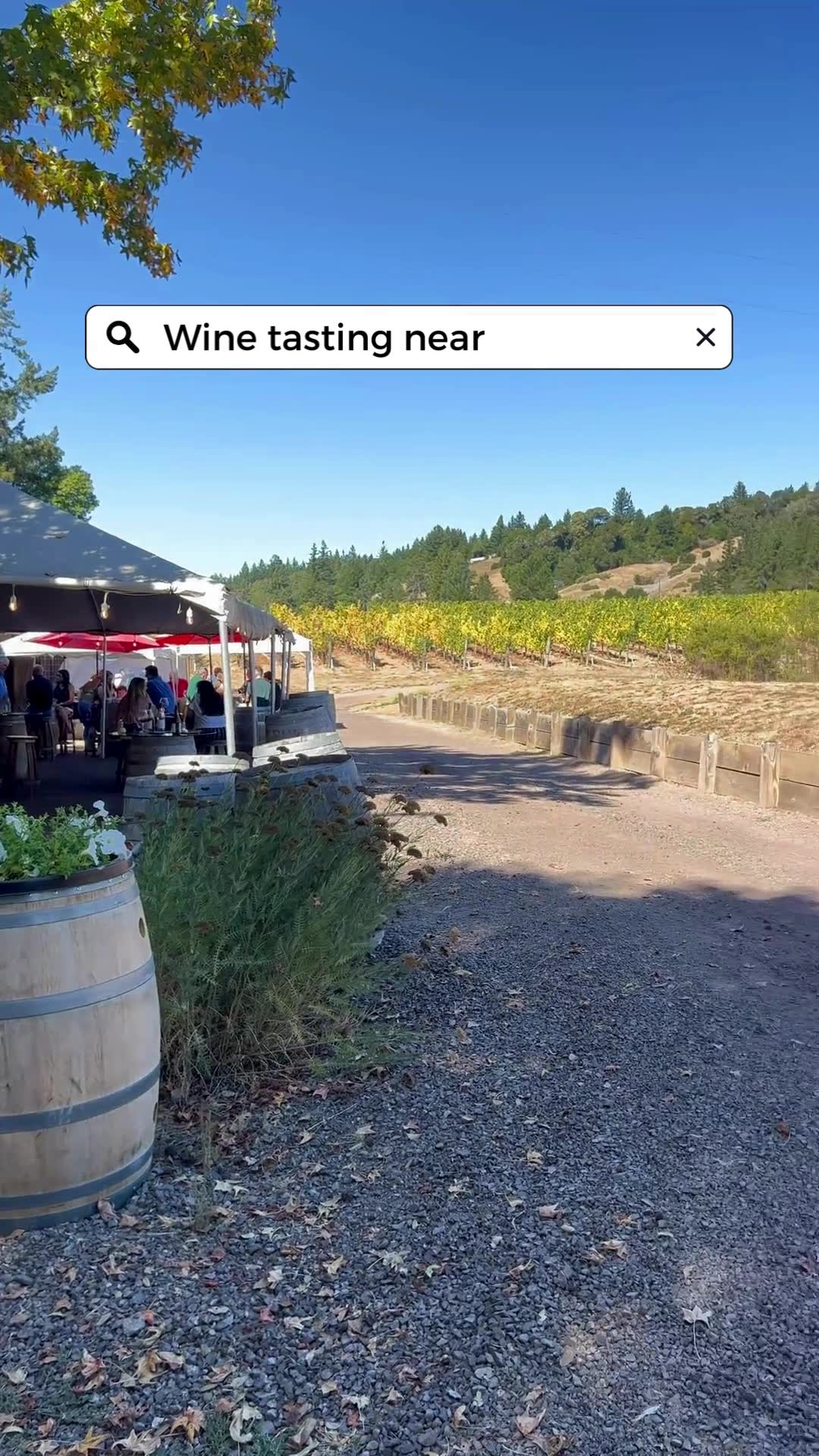 Escape to Lula Cellars β A Hidden Gem in Anderson Valley π·