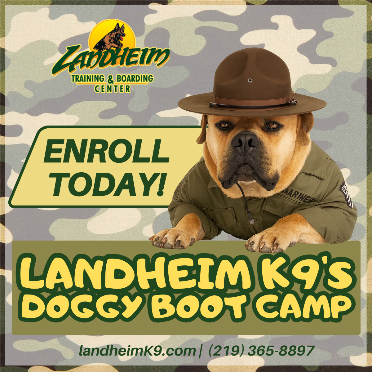 #1 Dog Training & Boarding Center | Board & Train In-Kennel Dog Training