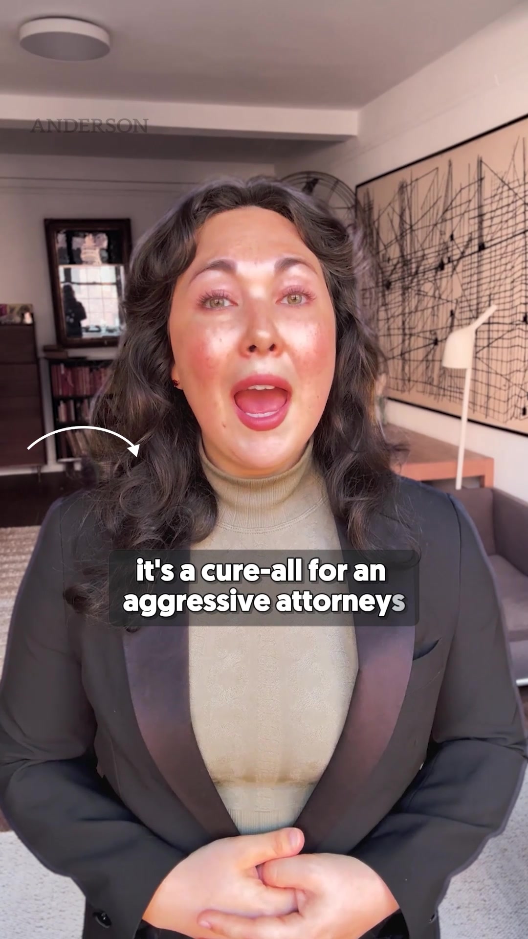 Anderson Business Advisors Business Law ad creative