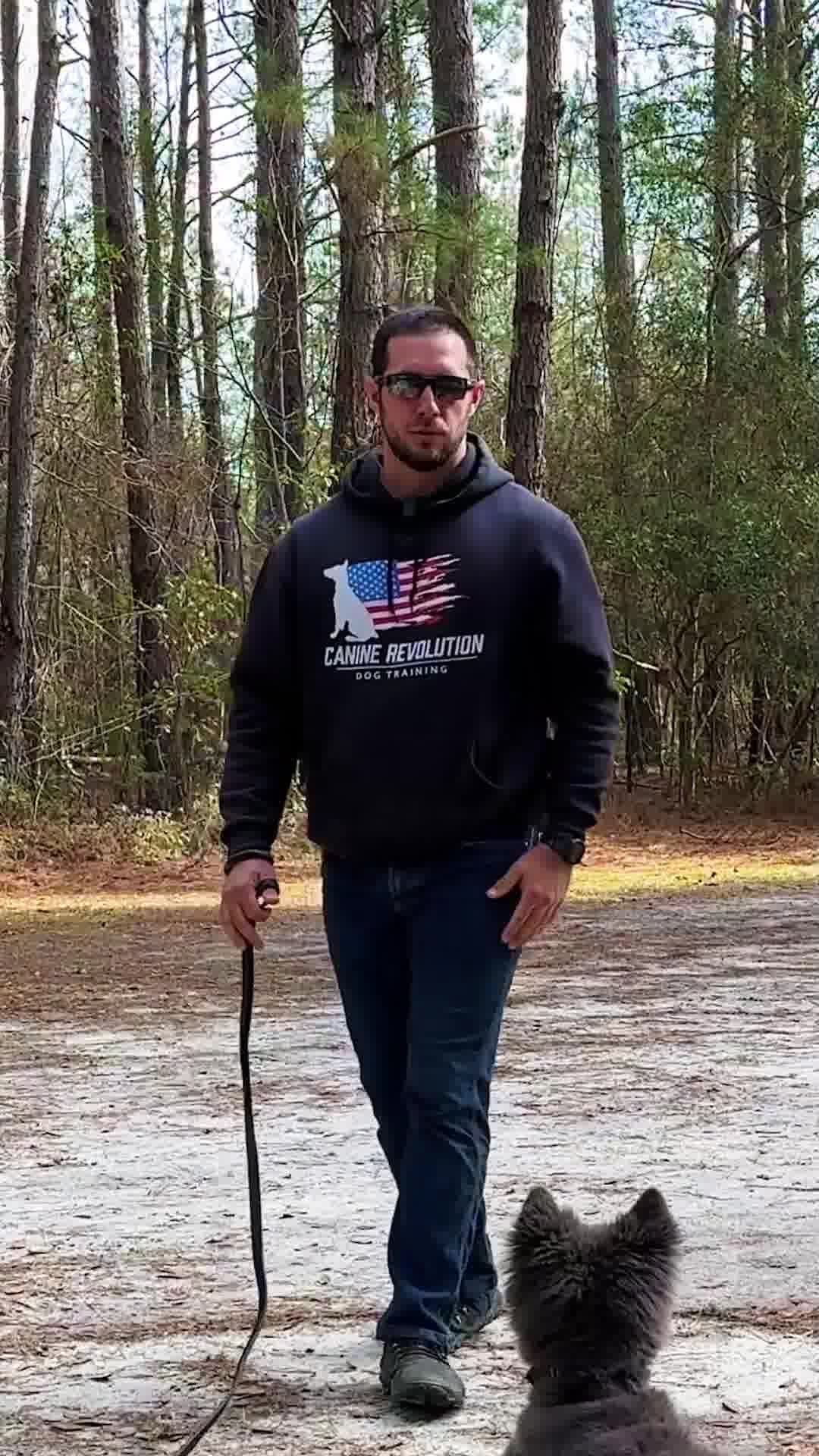 Your dream dog is just a click away