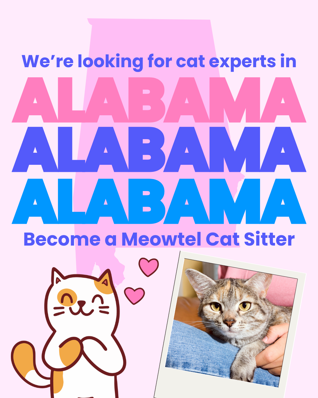 Become a Cat Sitter - $500-$1,000/mo Cat Sitting Jobs | Meowtel