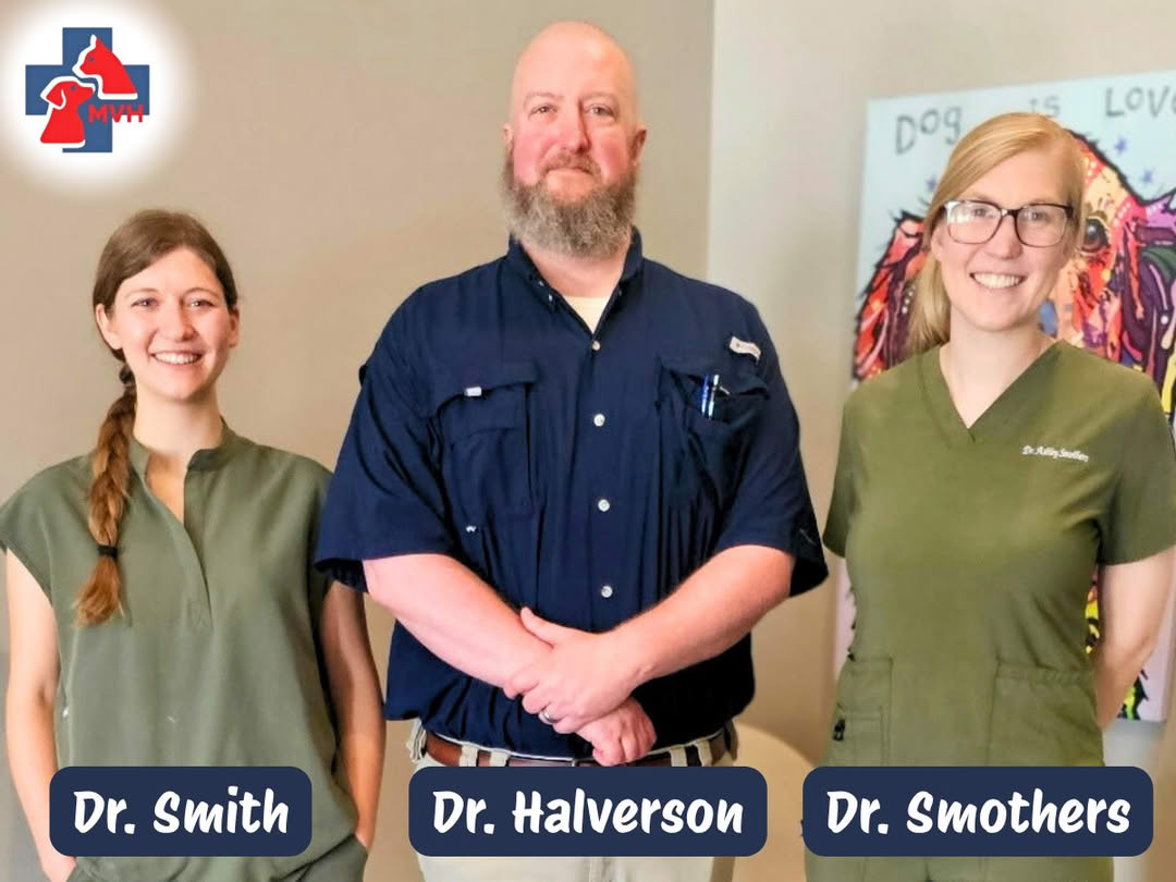 Mann Veterinary Hospital | Owens Cross Roads, AL 35763 > Home